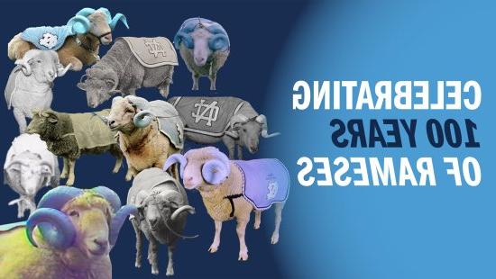 Collage of various iterations of Rameses the mascot, next to text that says 